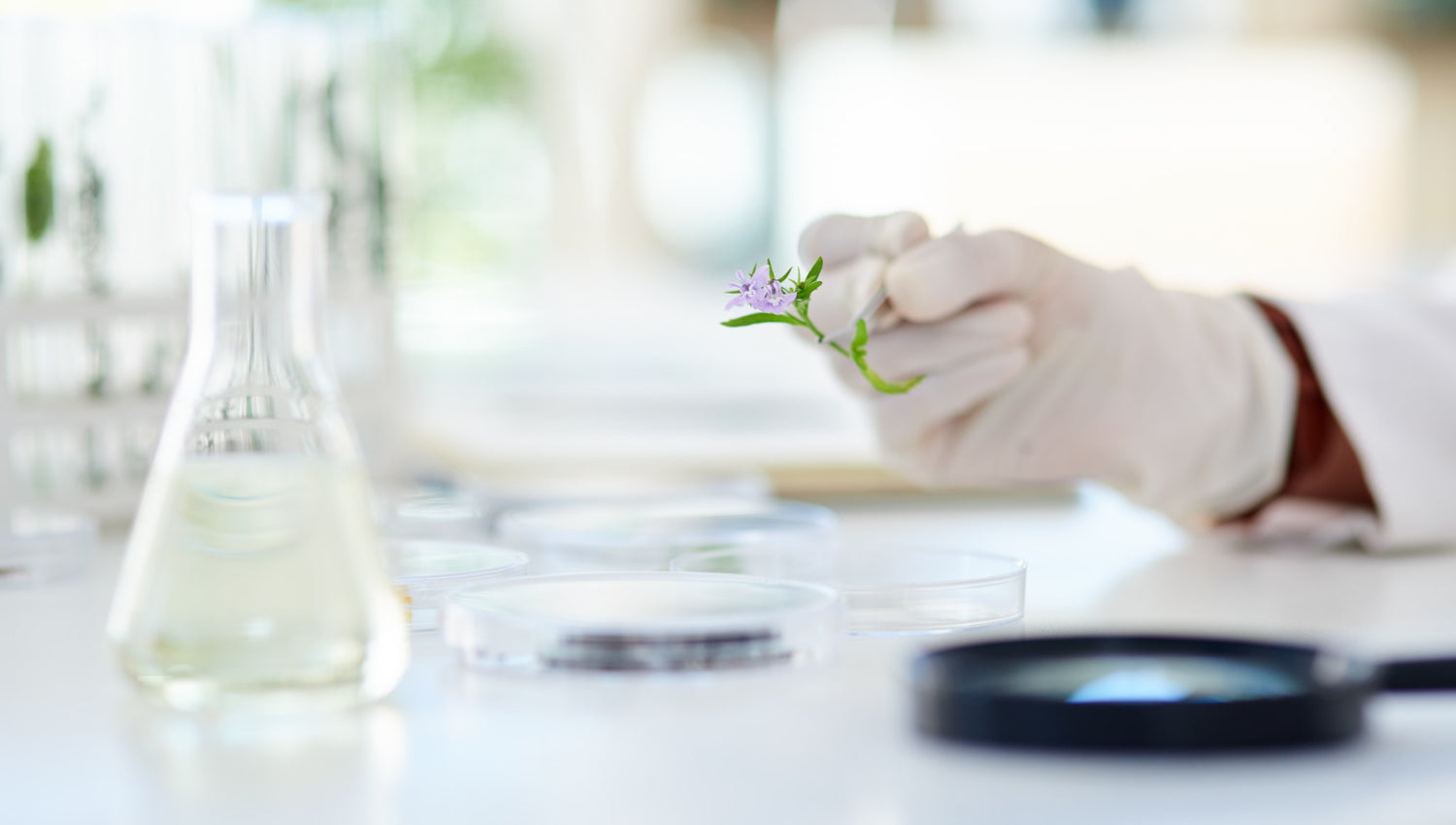 The importance of a safe and stable product for happy cosmetics