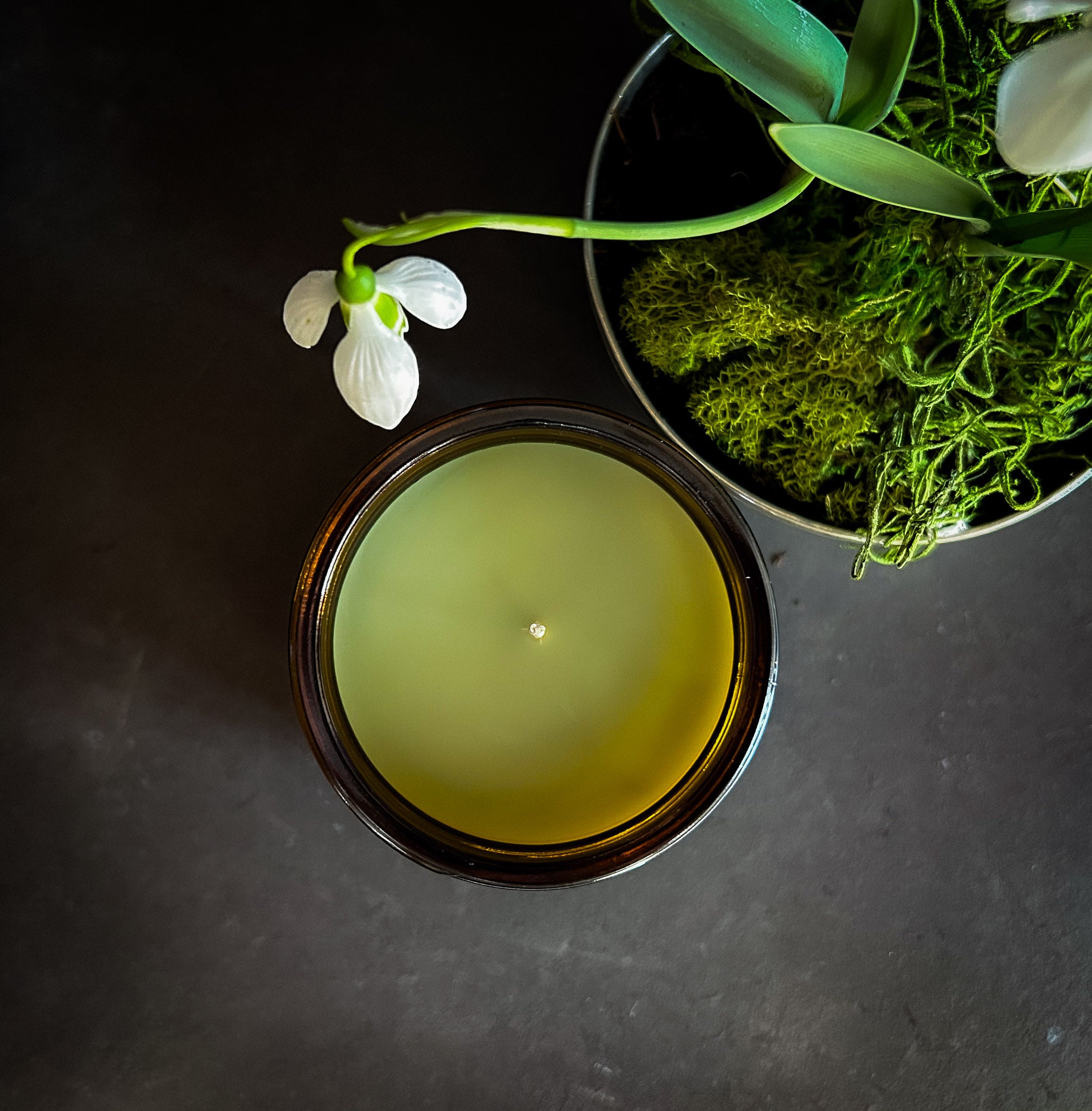 VERNAL (Spring) Beeswax Candle
